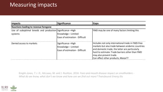 Foot-and-mouth disease impact studies