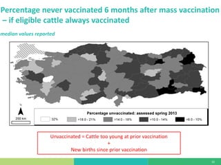 Mass vaccination, immunity and coverage: Modelling population protection against foot-and-mouth disease in Turkish cattle
