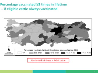 Mass vaccination, immunity and coverage: Modelling population protection against foot-and-mouth disease in Turkish cattle