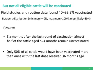 Mass vaccination, immunity and coverage: Modelling population protection against foot-and-mouth disease in Turkish cattle