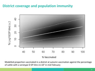 Mass vaccination, immunity and coverage: Modelling population protection against foot-and-mouth disease in Turkish cattle