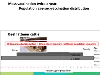 Mass vaccination, immunity and coverage: Modelling population protection against foot-and-mouth disease in Turkish cattle