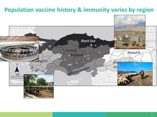 Mass vaccination, immunity and coverage: Modelling population protection against foot-and-mouth disease in Turkish cattle