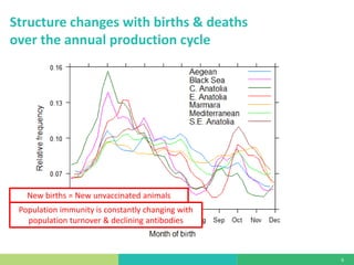 Mass vaccination, immunity and coverage: Modelling population protection against foot-and-mouth disease in Turkish cattle