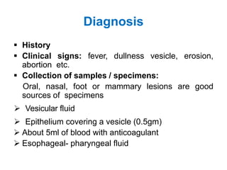 Foot and Mouth Disease | PPTX