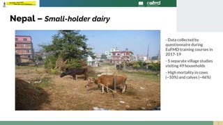 When is foot-and-mouth disease vaccination profitable in endemic settings?