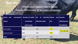 Assessment of effectiveness of a foot-and-mouth disease vaccine in cattle in Ethiopia