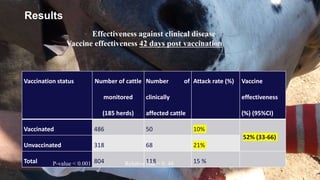 Assessment of effectiveness of a foot-and-mouth disease vaccine in cattle in Ethiopia