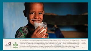 Assessment of effectiveness of a foot-and-mouth disease vaccine in cattle in Ethiopia