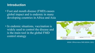 Assessment of effectiveness of a foot-and-mouth disease vaccine in cattle in Ethiopia