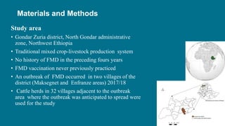 Assessment of effectiveness of a foot-and-mouth disease vaccine in cattle in Ethiopia