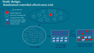 Assessment of effectiveness of a foot-and-mouth disease vaccine in cattle in Ethiopia