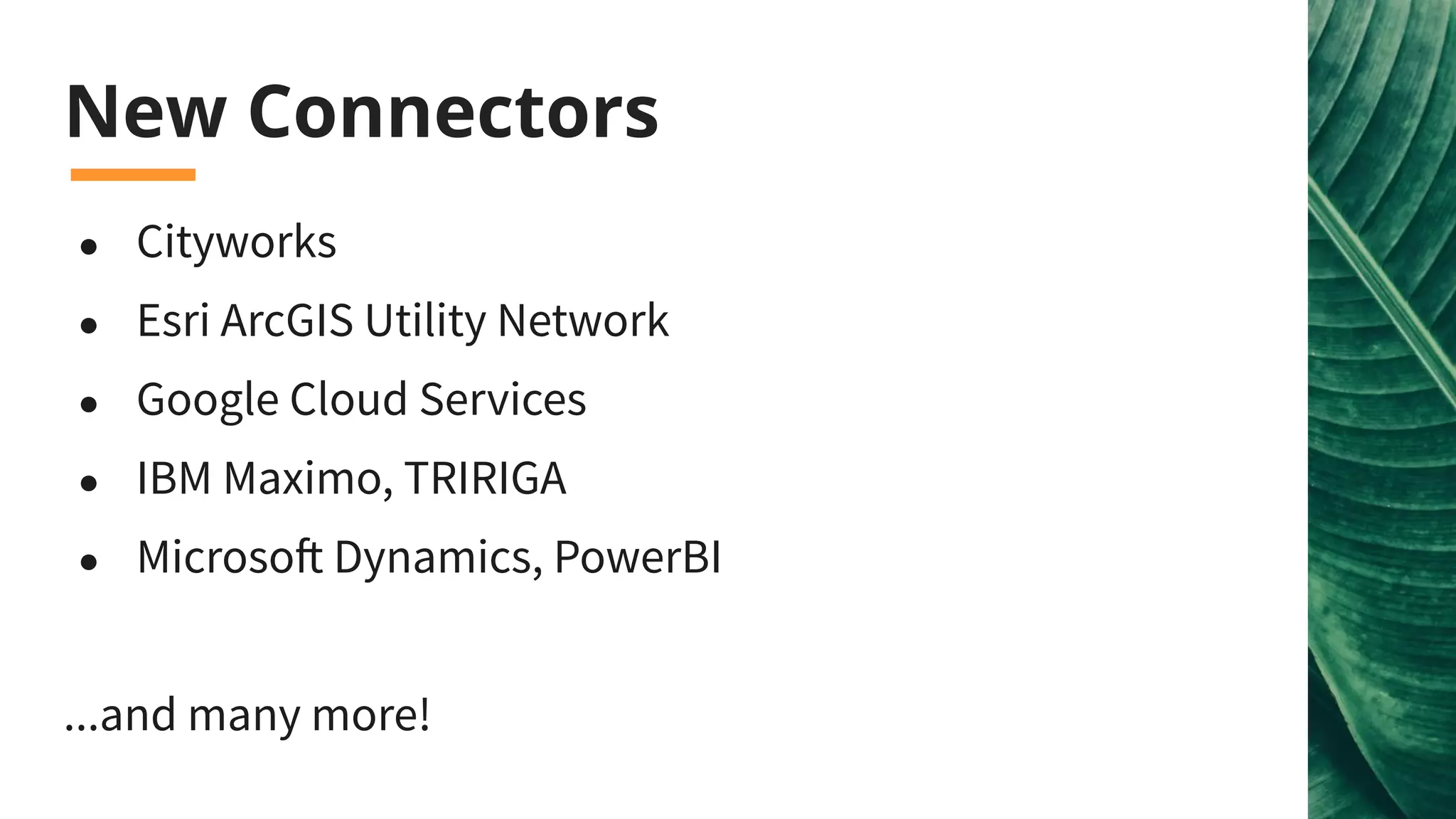 New Connectors
● Cityworks
● Esri ArcGIS Utility Network
● Google Cloud Services
● IBM Maximo, TRIRIGA
● Microsoft Dynamics, PowerBI
...and many more!
 