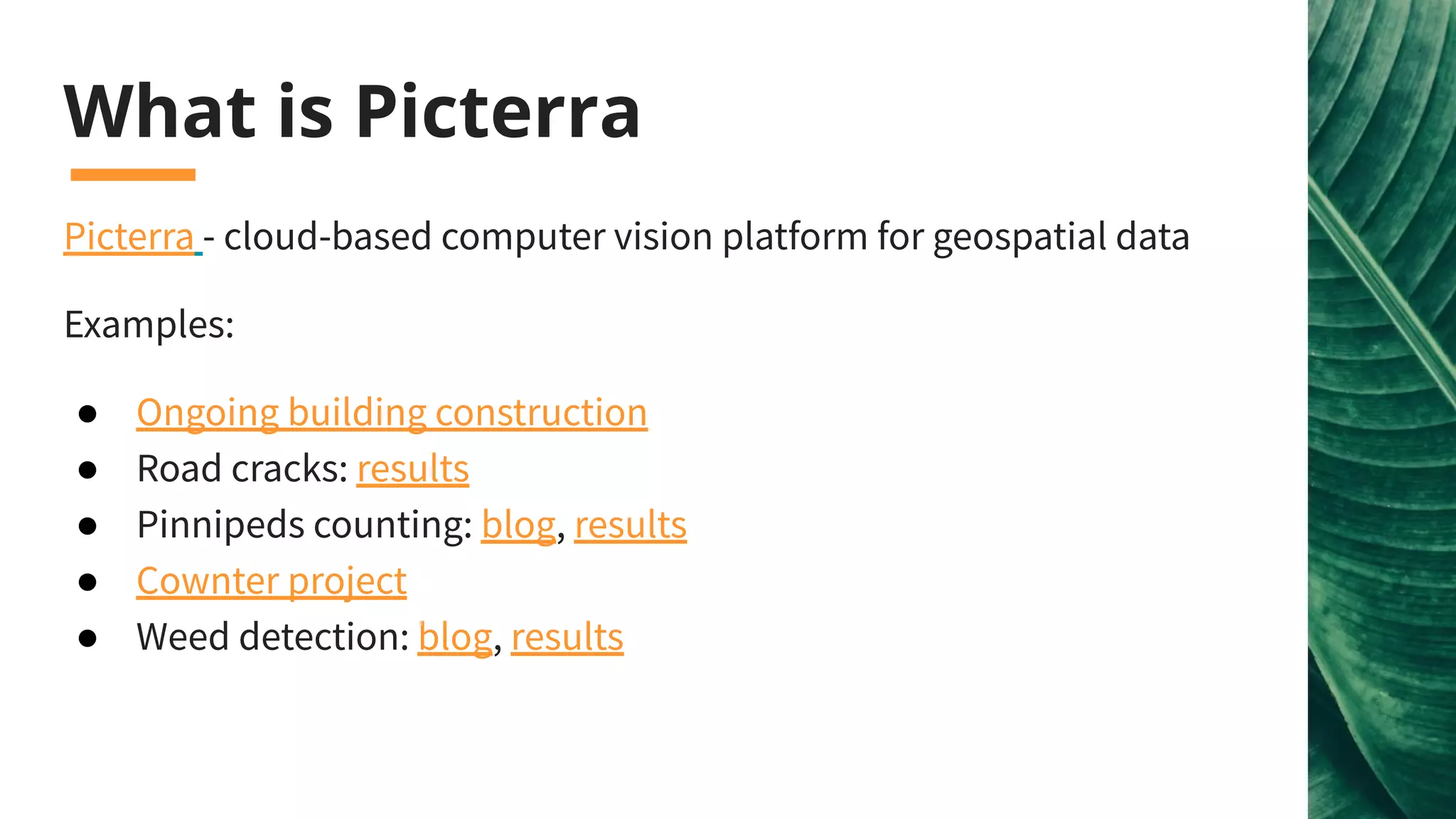 What is Picterra
Picterra - cloud-based computer vision platform for geospatial data
Examples:
● Ongoing building construction
● Road cracks: results
● Pinnipeds counting: blog, results
● Cownter project
● Weed detection: blog, results
 