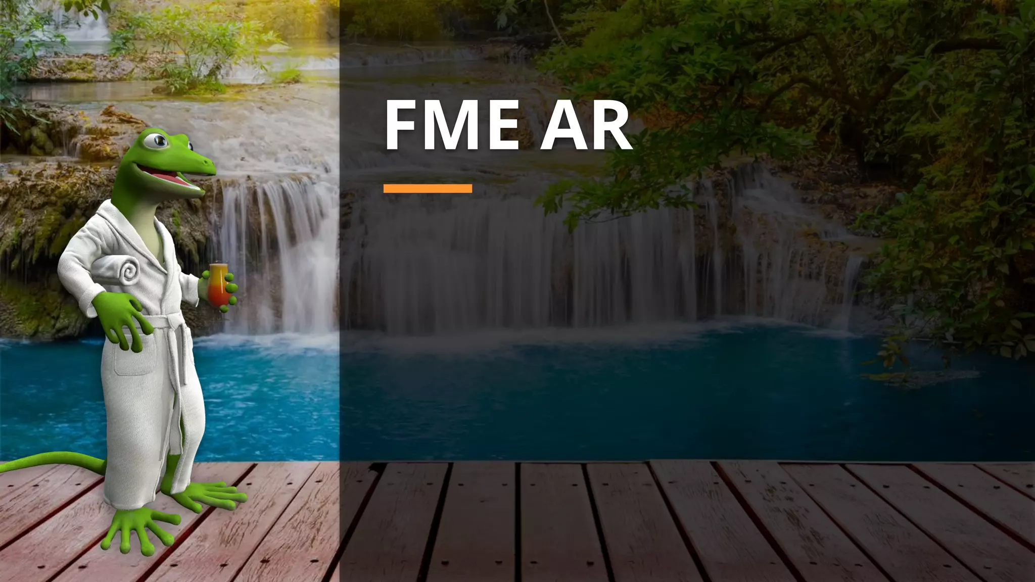 TransformFME AR
 