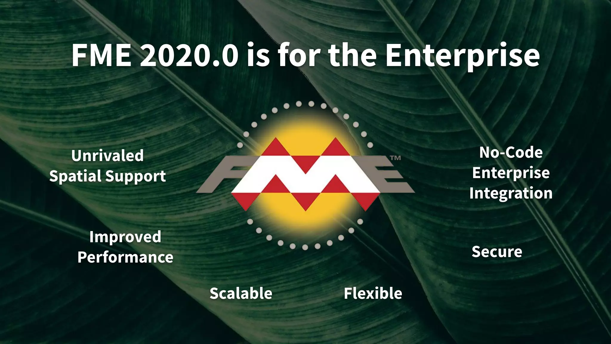 FME 2020.0 is for the Enterprise
Improved
Performance Secure
Scalable
No-Code
Enterprise
Integration
Flexible
Unrivaled
Spatial Support
 