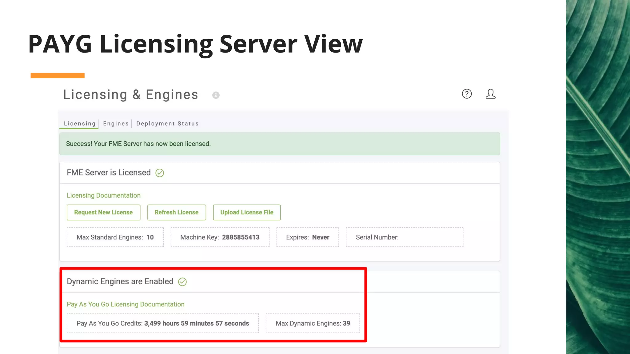 PAYG Licensing Server View
 