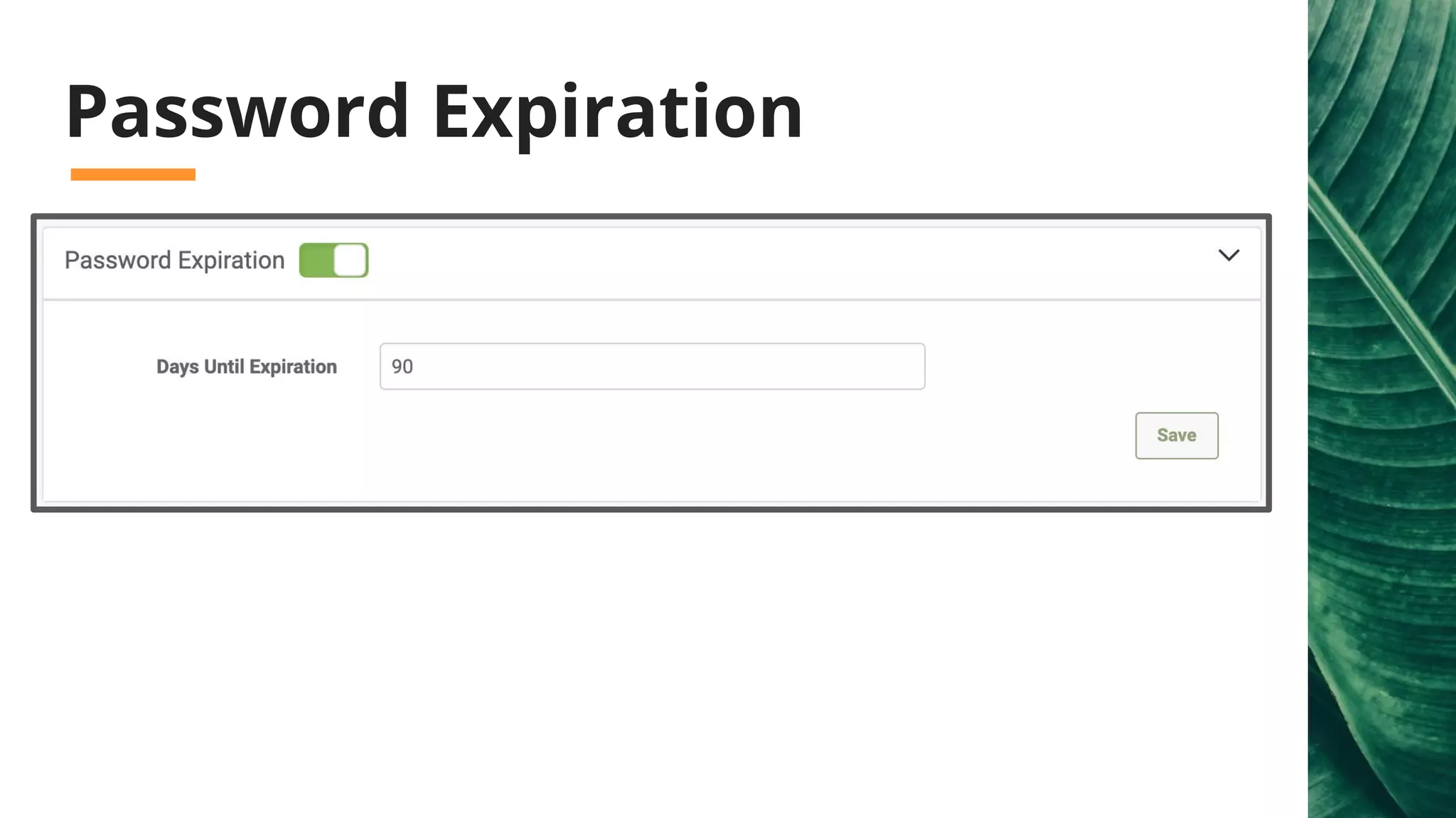 Password Expiration
 