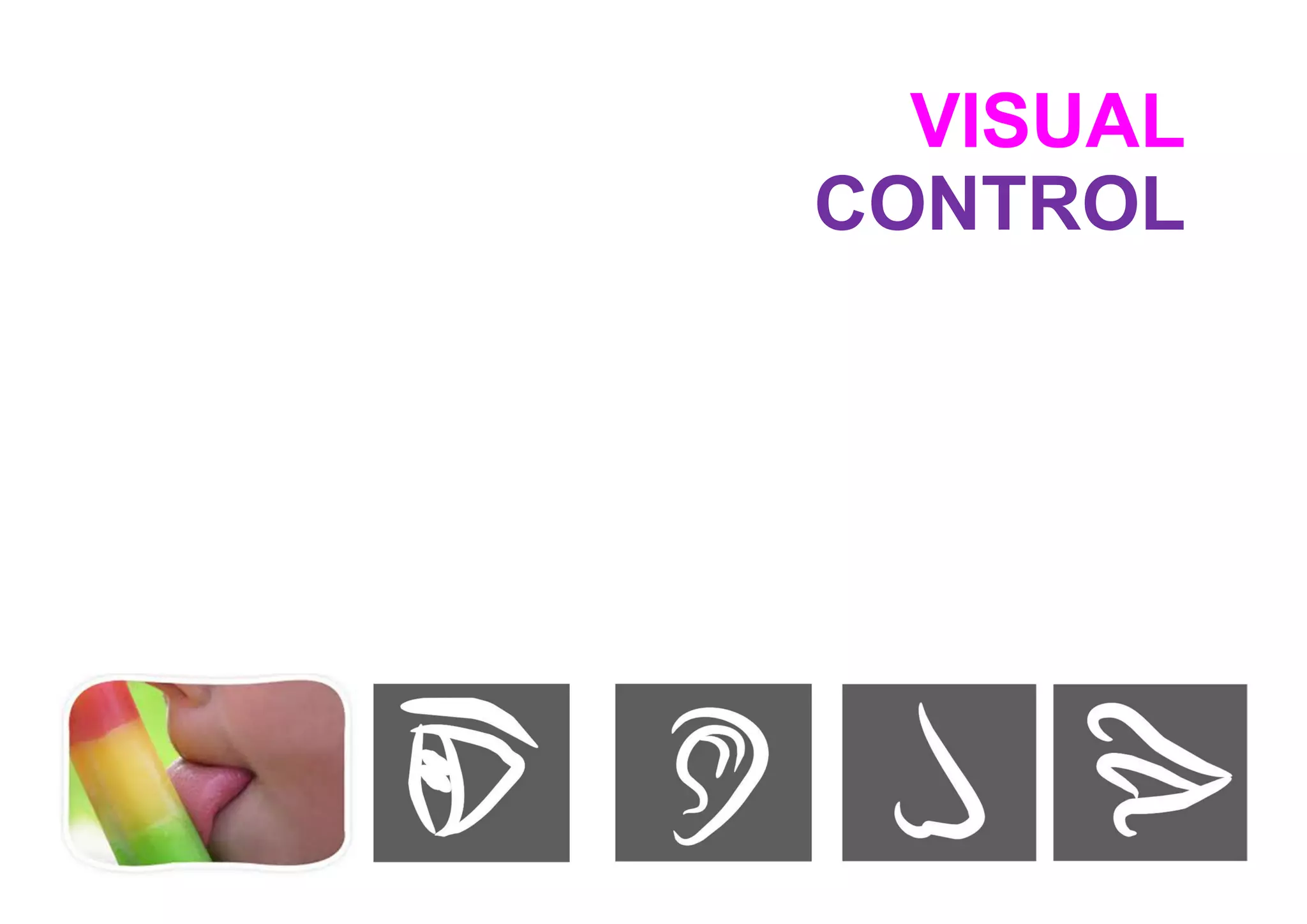 VISUAL
CONTROL
 