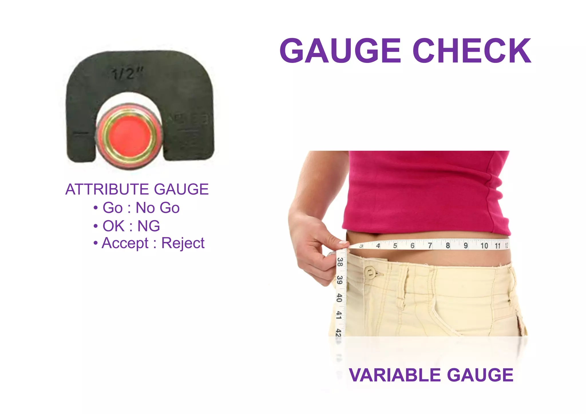 ATTRIBUTE GAUGE
• Go : No Go
• OK : NG
• Accept : Reject
VARIABLE GAUGE
GAUGE CHECK
 
