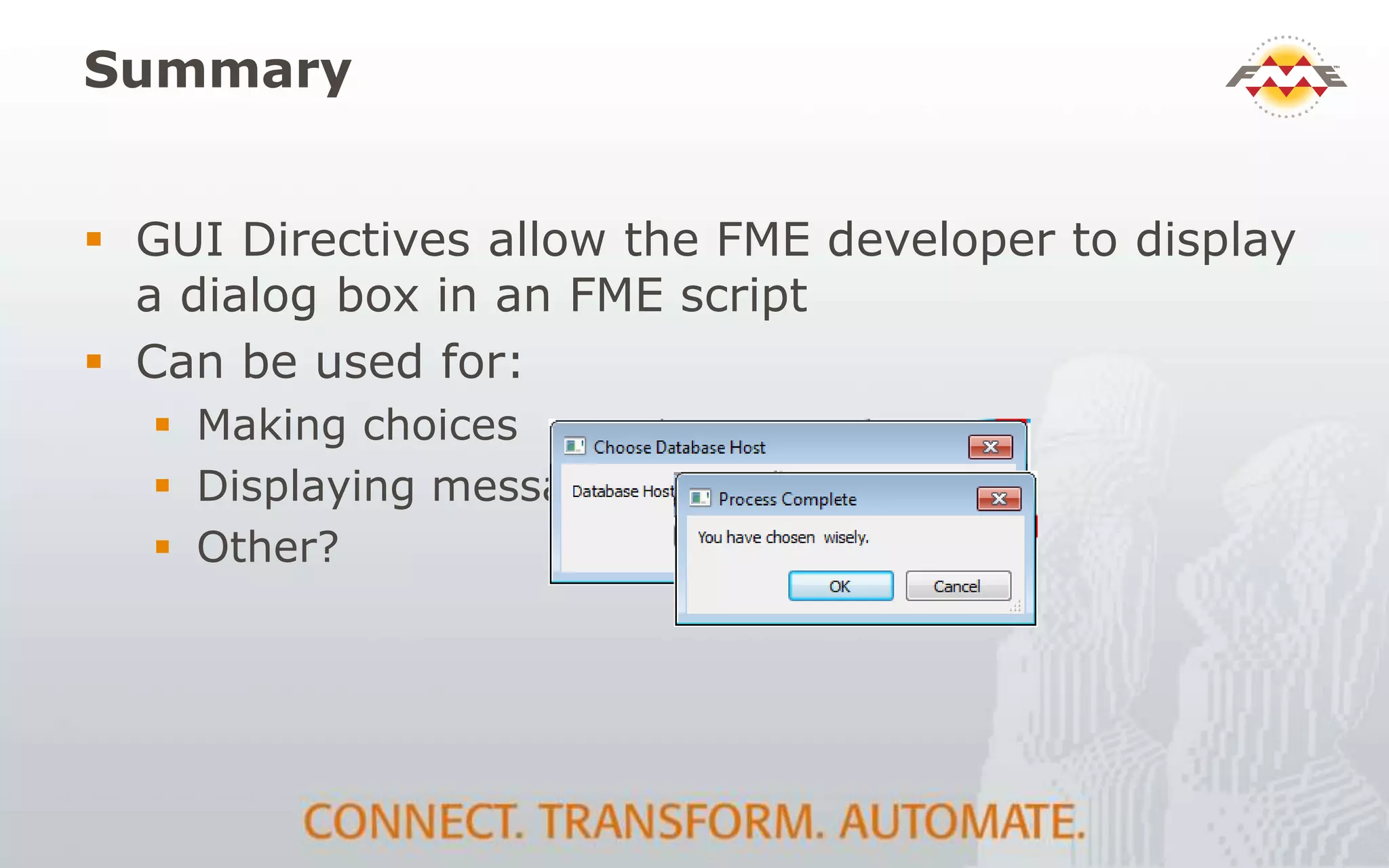 FME GUI Widgets | PPTX