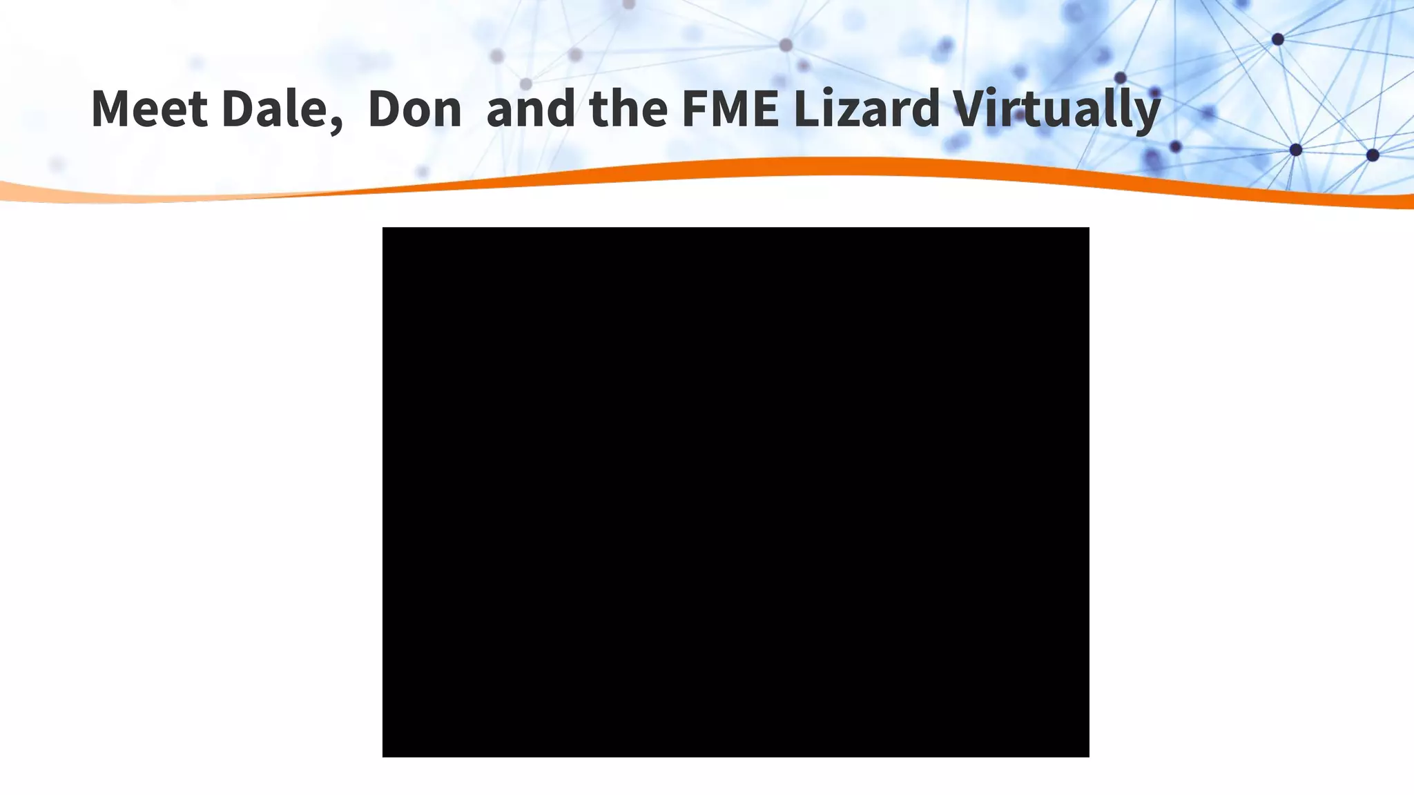 Meet Dale, Don and the FME Lizard Virtually
 