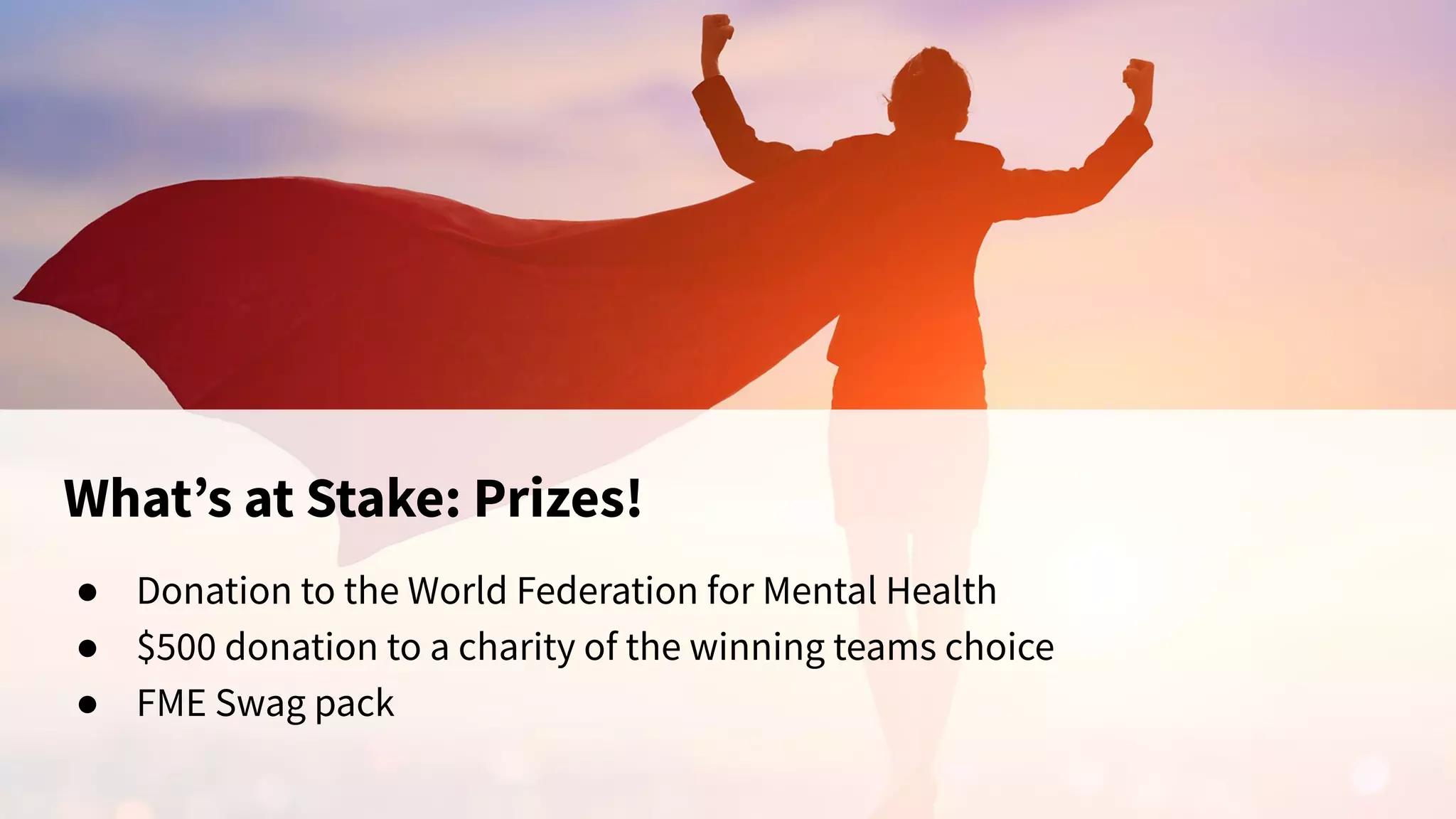 What’s at Stake: Prizes!
● Donation to the World Federation for Mental Health
● $500 donation to a charity of the winning teams choice
● FME Swag pack
 