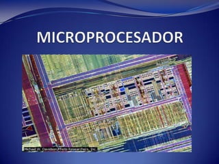 ALMACENAMIENTO OPTICO