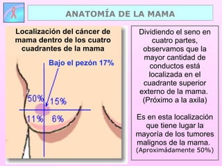 Dividiendo el seno en cuatro partes, observamos que la mayor cantidad de conductos está localizada en el cuadrante superior externo de la mama.  (Próximo a la axila) Es en esta localización que tiene lugar la mayoría de los tumores malignos de la mama.   (Aproximádamente 50%) Localización del cáncer de mama dentro de los cuatro cuadrantes de la mama Bajo el pezón 17% ANATOMÍA DE LA MAMA 