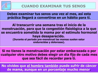 No olvides que  el hombre también  puede sufrir de cáncer de mama, aunque en un porcentaje mucho menor . Debes examinar tus senos una vez al mes, así esta práctica llegará a convertirse en un hábito para tí. Al transcurrir una semana tras el inicio de la menstruación, para que la congestión fisiológica a la que se encuentra sometida la mama por el estimulo hormonal haya desaparecido.  (Durante el período pre-menstrual las mamas suelen estar  endurecidas y dolorosas). Si no tienes la menstruación por estar embarazada o por cualquier otro motivo debes elegir un día fijo de cada mes que sea fácil de recordar para tí. CUANDO EXAMINAR TUS SENOS 