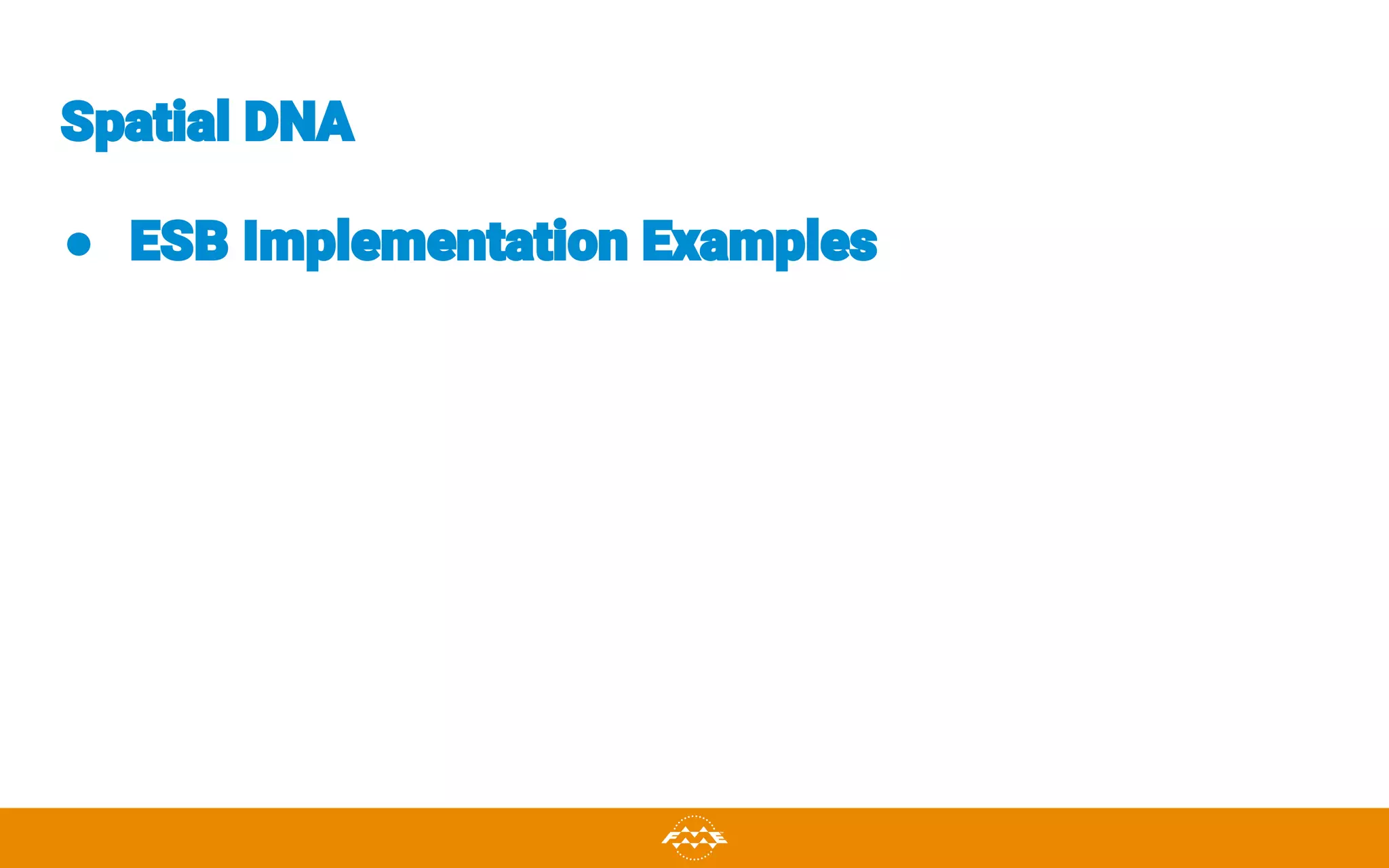 Spatial DNA
● ESB Implementation Examples
 