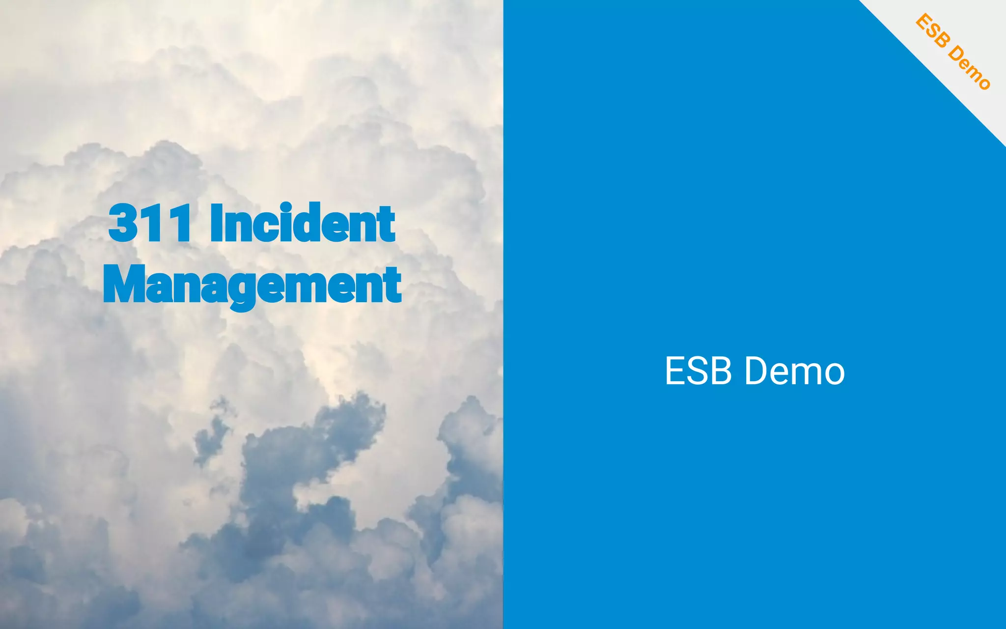 311 Incident
Management
ESB Demo
ESB
D
em
o
 