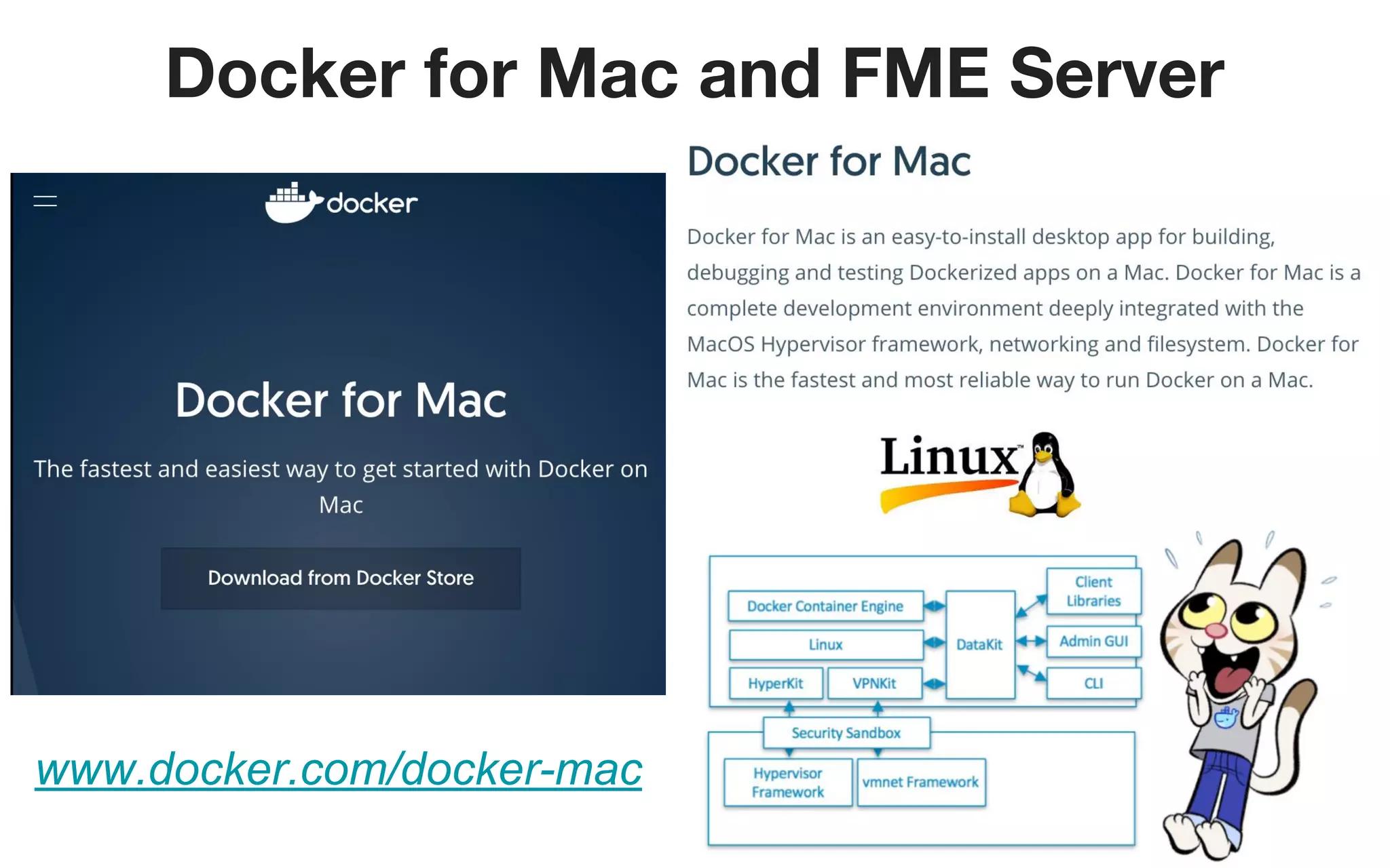 Docker for Mac and FME Server
www.docker.com/docker-mac
 