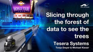Slicing through
the forest of
data to see the
trees
Tesera Systems
Tonja Dwyer & Michael Kieser
 