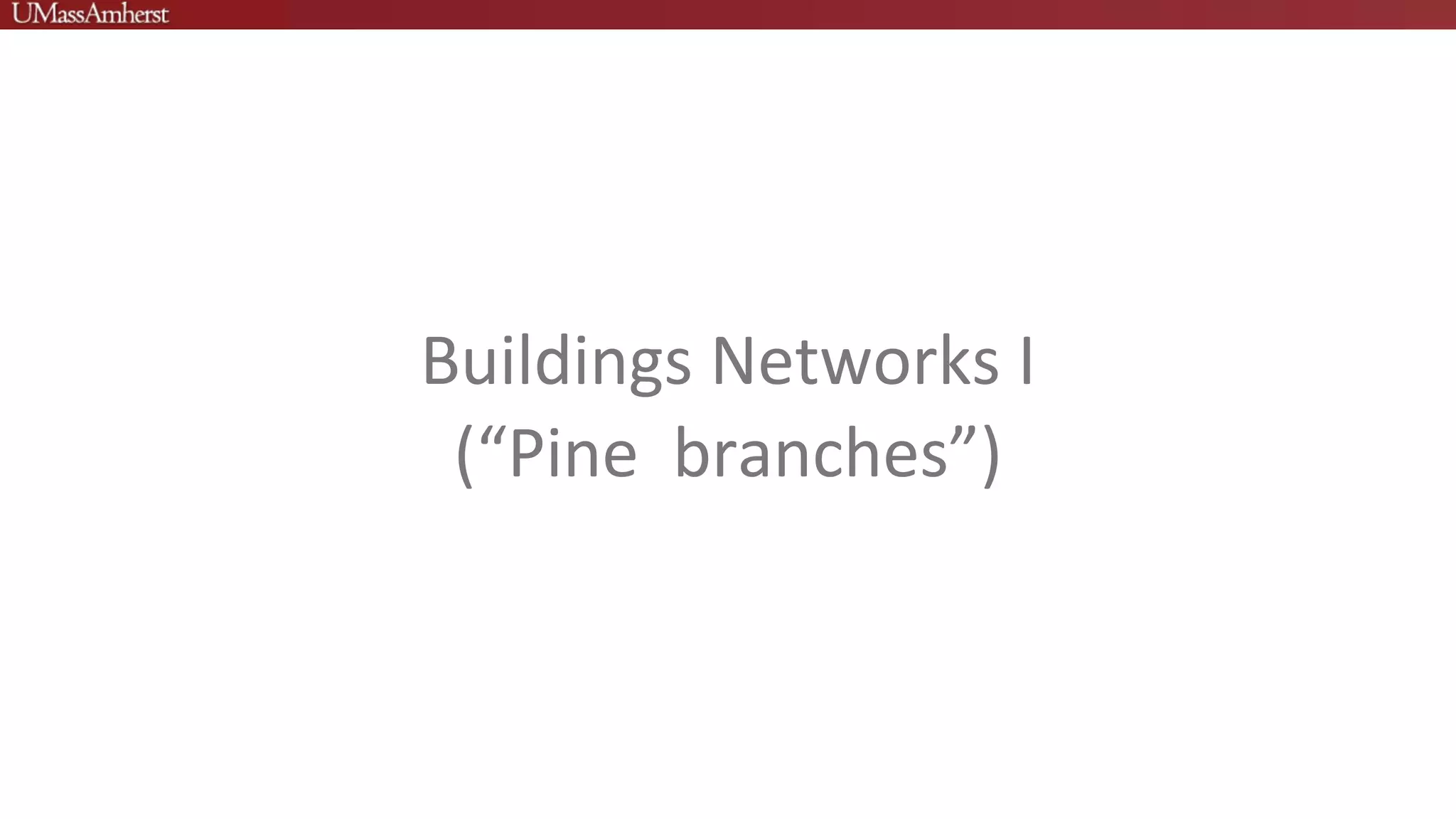 Buildings Networks I
(“Pine branches”)
 