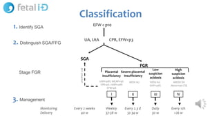 Sga Classification FMFbarcelona2024 - intrauterine growth restriction classification.pdf