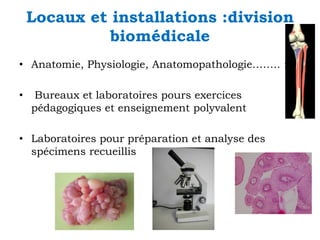 Locaux et installations :division
biomédicale
• Anatomie, Physiologie, Anatomopathologie…….. :
•

Bureaux et laboratoires pours exercices
pédagogiques et enseignement polyvalent

• Laboratoires pour préparation et analyse des
spécimens recueillis

 