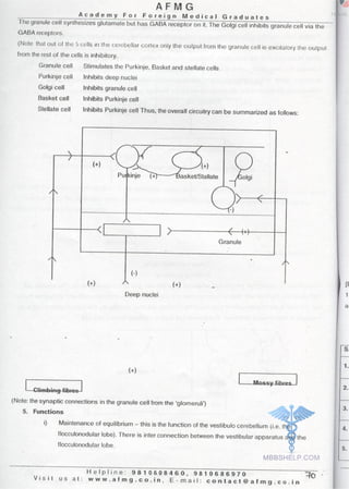 FMGE Notes - Physiology