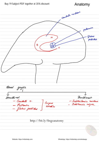 Website: https://mbbshelp.com WhatsApp: https://mbbshelp.com/whatsapp
Anatomy
http://bit.ly/fmgeanatomy
Buy 19 Subject PDF together at 35% discount
 