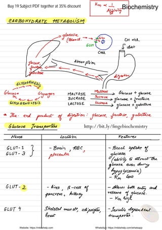 Km & 1
Affinity
CARBOHYDRATE METABOLISM
se .
µ9wFao°a→Ia¥Oo
guarded
Cell
P
Absorption
y÷÷¥e¥Dm
.
GLYCOGENES
;g
-
>
→
→
a
Glucose
Glycogen MALTOSE
Fed
Glucose +
glucose
A Sucrose
← ←
d SUCROSE -
glucose +
fructose
GLYCOGENOLYSIS LACTOSE
If glucose
+
galactose
*
The .
end
product of digestion
:
glucose, fructose,
galactose
Glucose Transporters
Name Location Features
GLUT .
I
}
-
Brain
,
RBC
,
-
Basal uptake of
GLUT -
3
placenta glucose
( ability to attract the
glucose
even during
hypoglycemia)
-
Km low
GLUT -
2 -
lives
,
B -
cell
of
-
Allows both
entry
and
pancreas ,
kidney
release
of glucose .
-
Km high
GLUT 4 Skeletal muscle
, adipocytes,
-
Insulin dependent
heart transport .
Website: https://mbbshelp.com WhatsApp: https://mbbshelp.com/whatsapp
Biochemistry
http://bit.ly/fmgebiochemistry
Buy 19 Subject PDF together at 35% discount
 