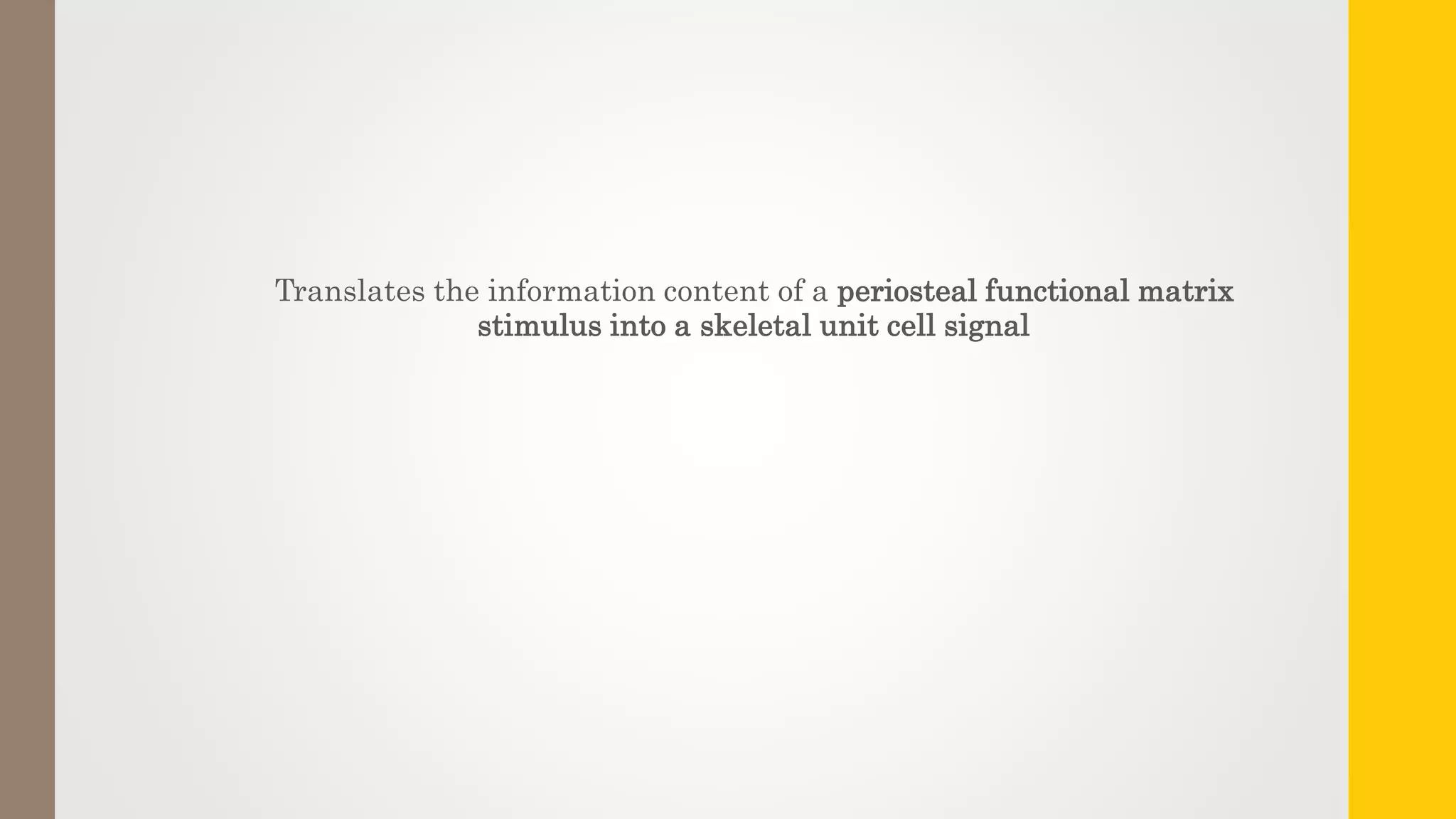 Translates the information content of a periosteal functional matrix
stimulus into a skeletal unit cell signal
 