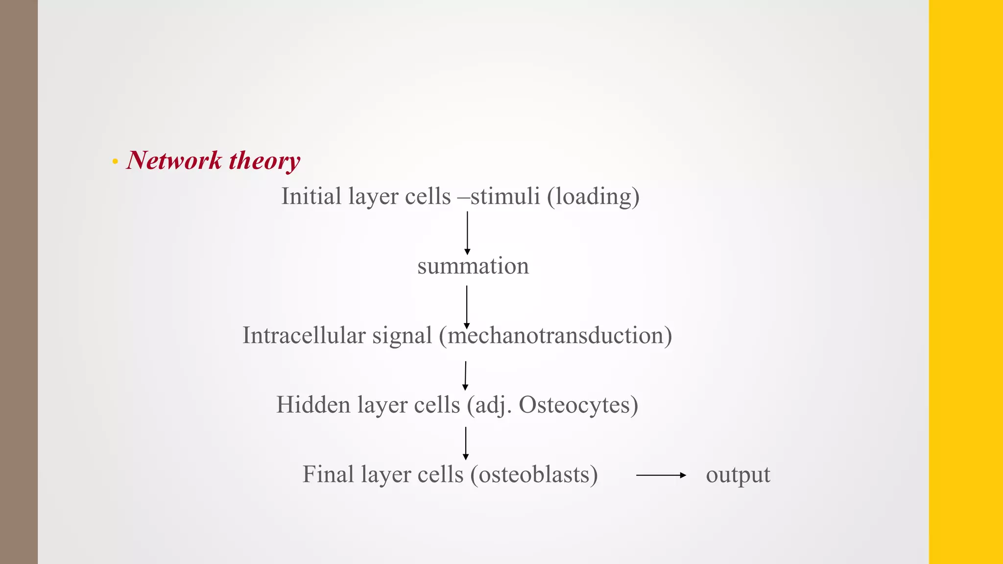 • Network theory
Initial layer cells –stimuli (loading)
summation
Intracellular signal (mechanotransduction)
Hidden layer cells (adj. Osteocytes)
Final layer cells (osteoblasts) output
 