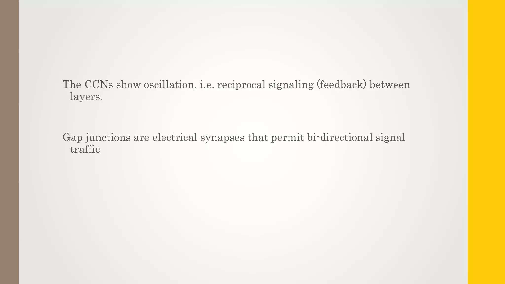 The CCNs show oscillation, i.e. reciprocal signaling (feedback) between
layers.
Gap junctions are electrical synapses that permit bi-directional signal
traffic
 