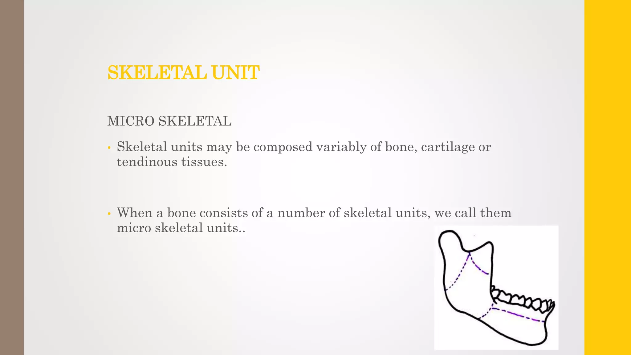 SKELETAL UNIT
MICRO SKELETAL
• Skeletal units may be composed variably of bone, cartilage or
tendinous tissues.
• When a bone consists of a number of skeletal units, we call them
micro skeletal units..
 
