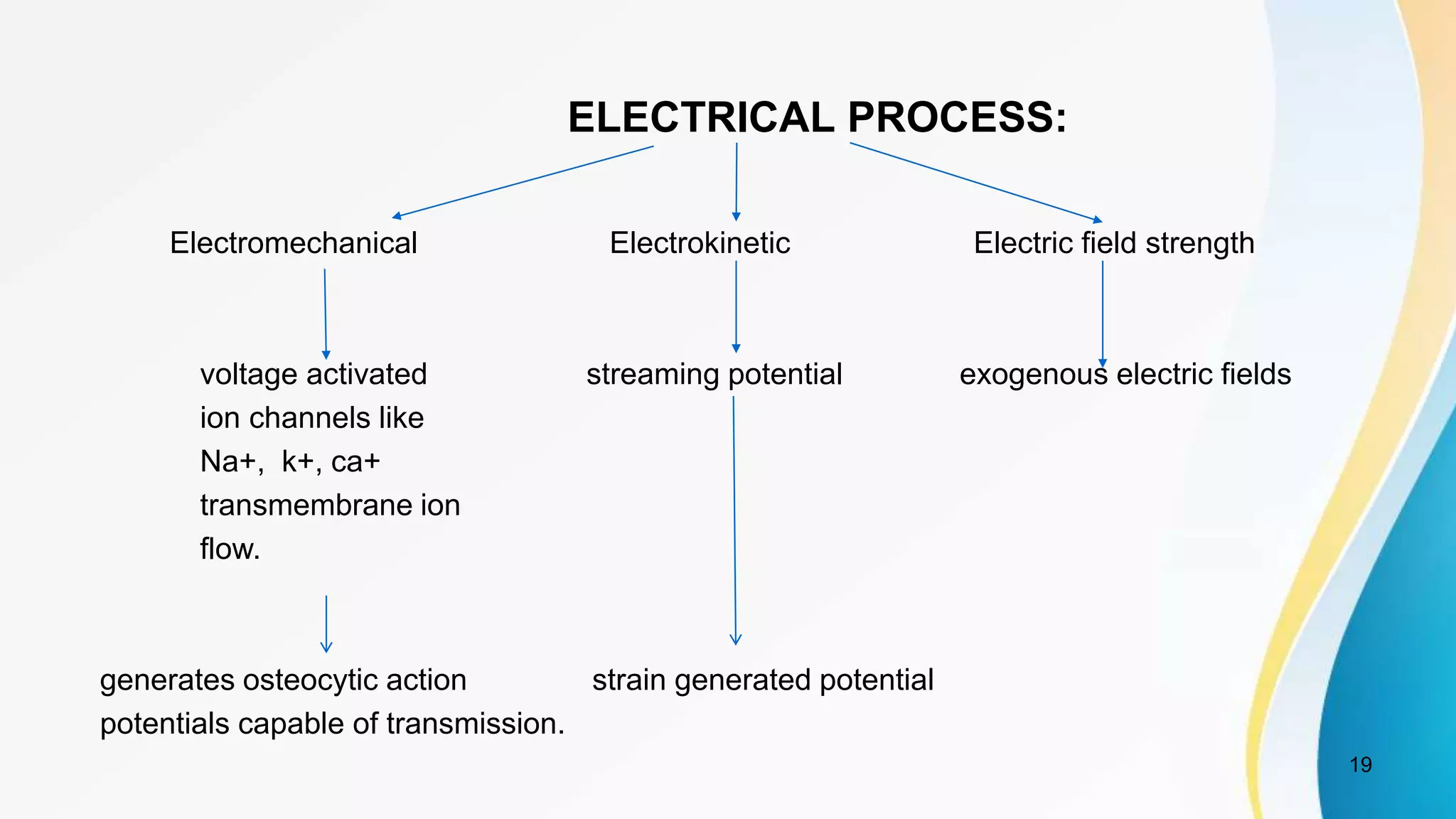 ELECTRICAL PROCESS:
Electromechanical Electrokinetic Electric field strength
voltage activated streaming potential exogenous electric fields
ion channels like
Na+, k+, ca+
transmembrane ion
flow.
generates osteocytic action strain generated potential
potentials capable of transmission.
19
 
