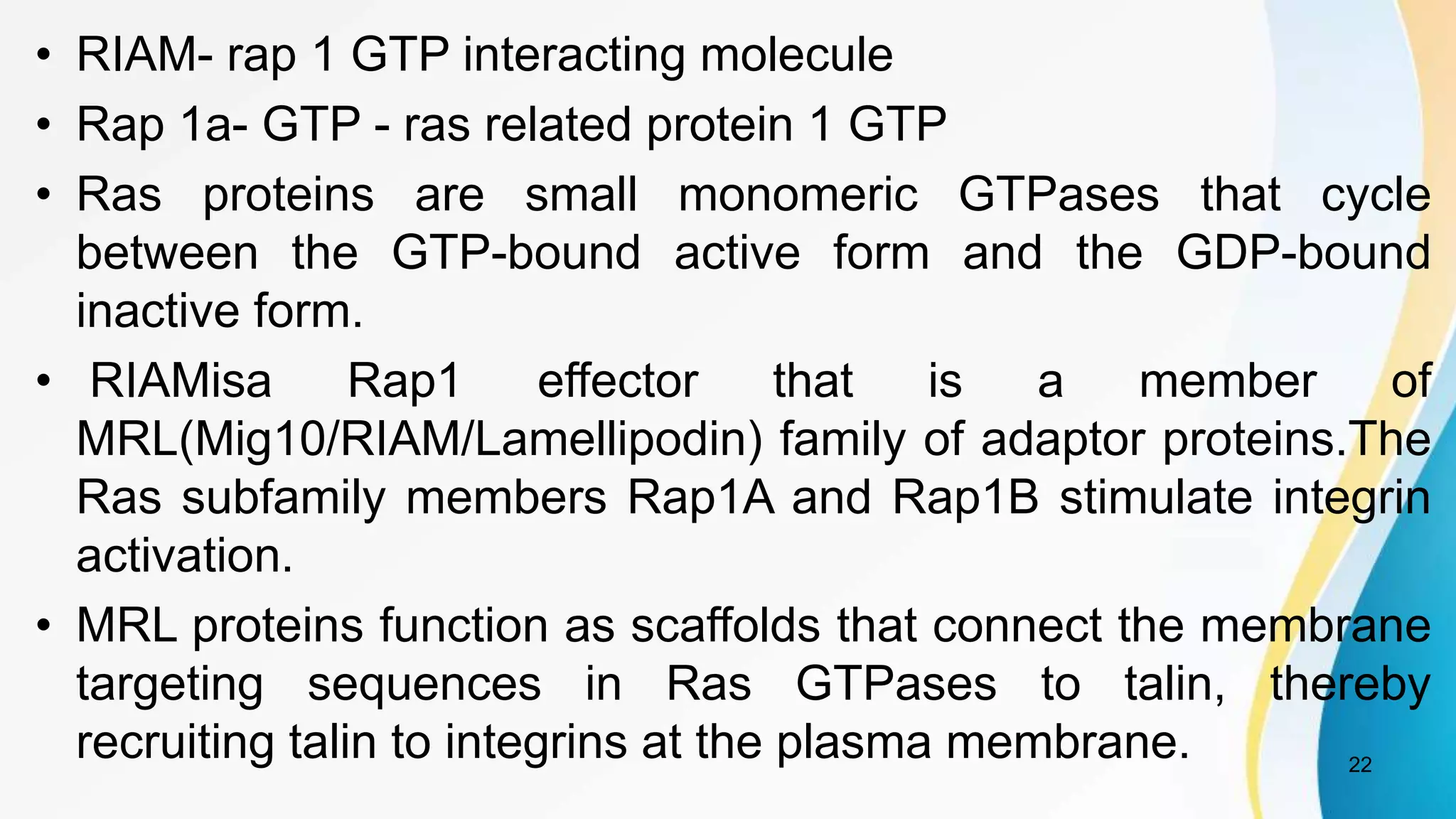 • RIAM- rap 1 GTP interacting molecule
• Rap 1a- GTP - ras related protein 1 GTP
• Ras proteins are small monomeric GTPases that cycle
between the GTP-bound active form and the GDP-bound
inactive form.
• RIAMisa Rap1 effector that is a member of
MRL(Mig10/RIAM/Lamellipodin) family of adaptor proteins.The
Ras subfamily members Rap1A and Rap1B stimulate integrin
activation.
• MRL proteins function as scaffolds that connect the membrane
targeting sequences in Ras GTPases to talin, thereby
recruiting talin to integrins at the plasma membrane. 22
 