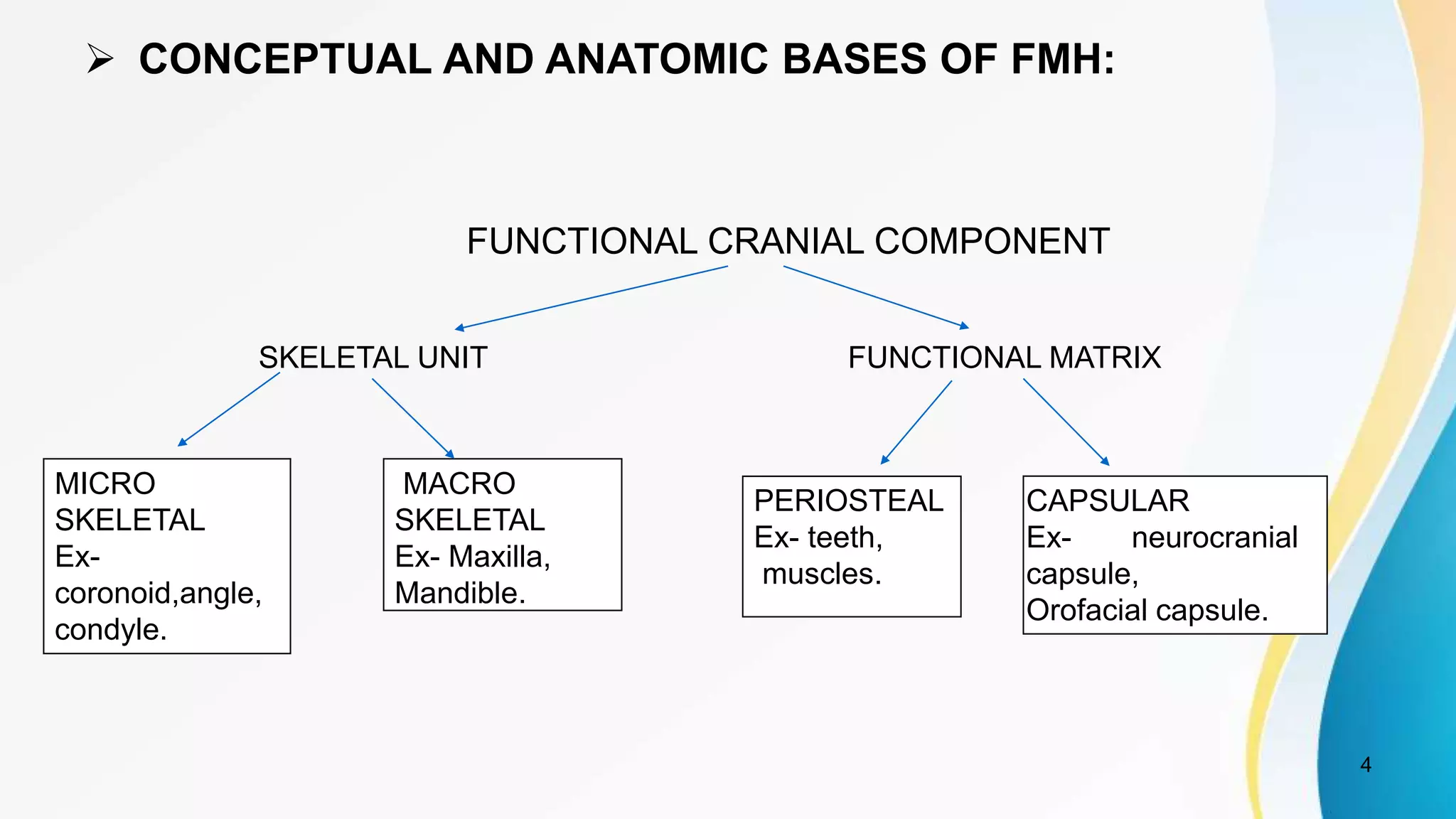  CONCEPTUAL AND ANATOMIC BASES OF FMH:
FUNCTIONAL CRANIAL COMPONENT
4
SKELETAL UNIT FUNCTIONAL MATRIX
MICRO
SKELETAL
Ex-
coronoid,angle,
condyle.
MACRO
SKELETAL
Ex- Maxilla,
Mandible.
PERIOSTEAL
Ex- teeth,
muscles.
CAPSULAR
Ex- neurocranial
capsule,
Orofacial capsule.
 
