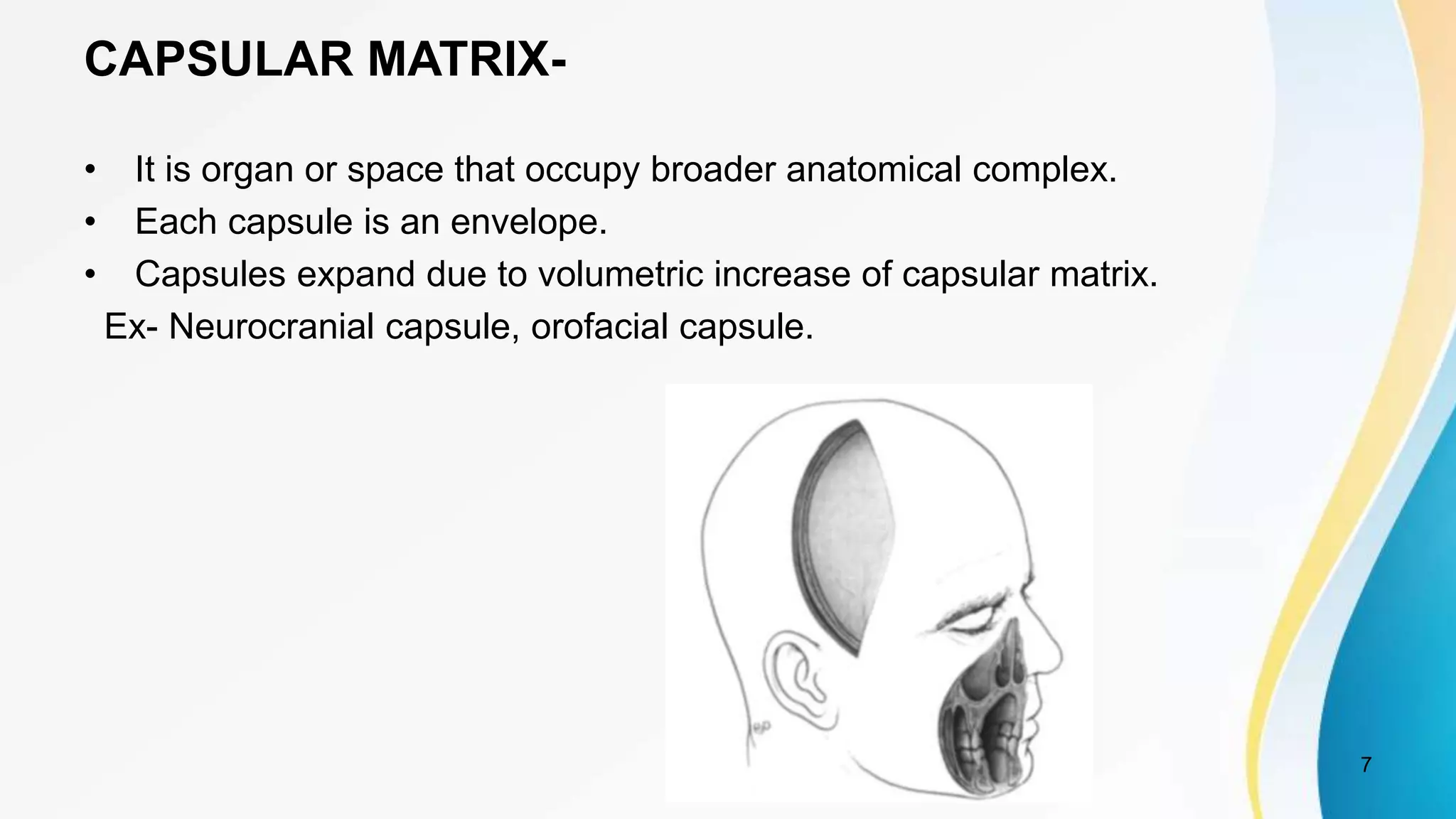 CAPSULAR MATRIX-
• It is organ or space that occupy broader anatomical complex.
• Each capsule is an envelope.
• Capsules expand due to volumetric increase of capsular matrix.
Ex- Neurocranial capsule, orofacial capsule.
7
 