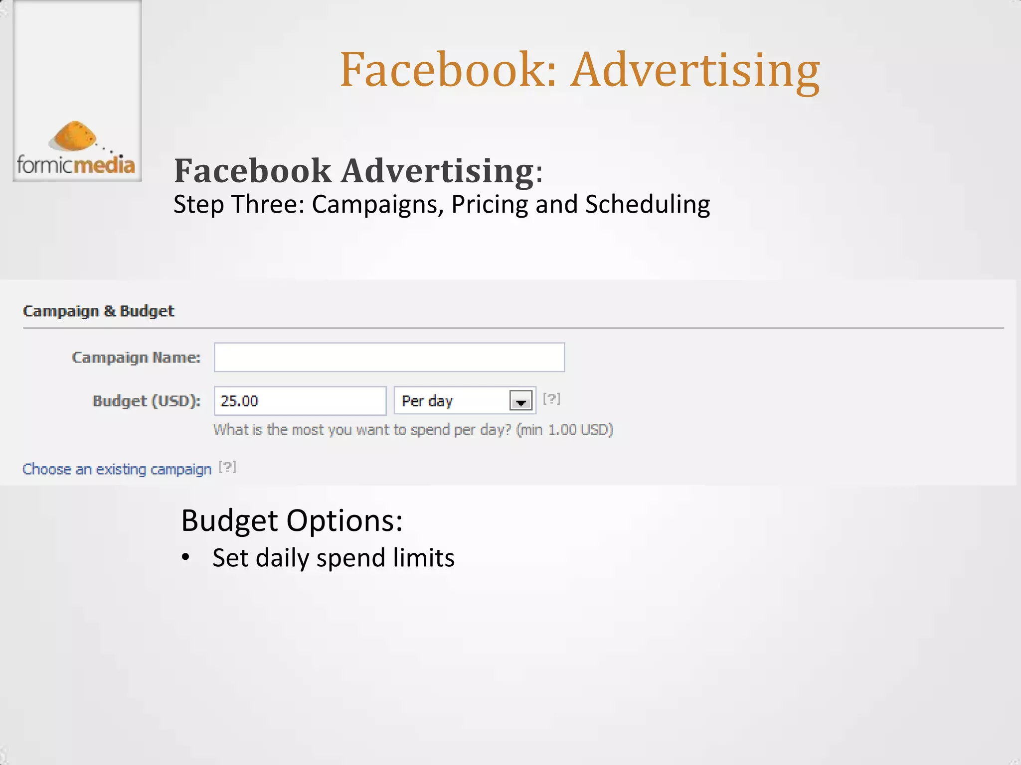 Facebook: Advertising
Facebook Advertising:
Step Three: Campaigns, Pricing and Scheduling




Budget Options:
• Set daily spend limits
 