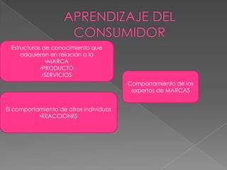 NECESITAMOS:Entender el mercado